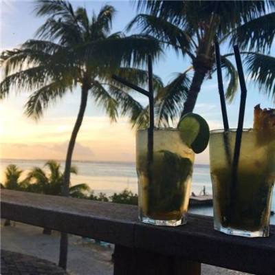 722cc彩票下载手机版